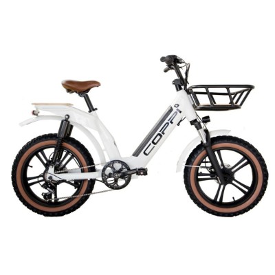 Coppi Lipari Fat Cargo e-bike