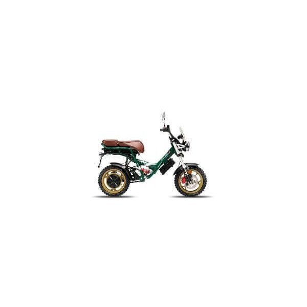GARELLI CICLONE SCOUT